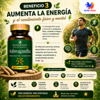 ASHWAGANDHA - 60 CAPSULAS