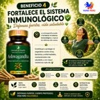 ASHWAGANDHA - 60 CAPSULAS