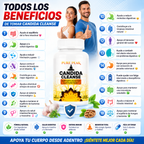 CANDIDA CLEANSE - 60 capsulas